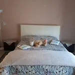 Casa Delle Orchidee 3*