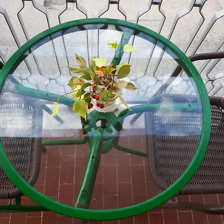 Гостевой дом Casa Delle Orchidee Альба