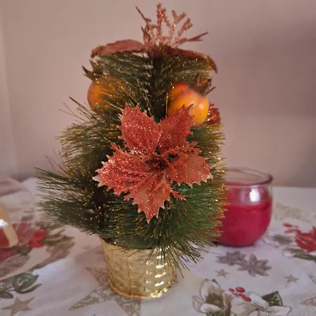 Casa Delle Orchidee Alba