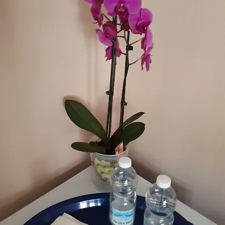 Casa Delle Orchidee *