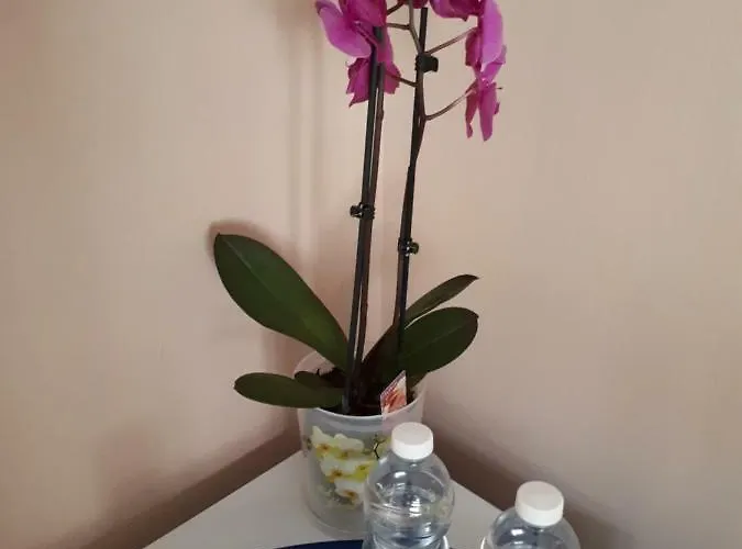 Casa Delle Orchidee 3*